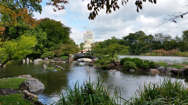 Museum of Science & Industry in the background, with my neighborhood behind that.