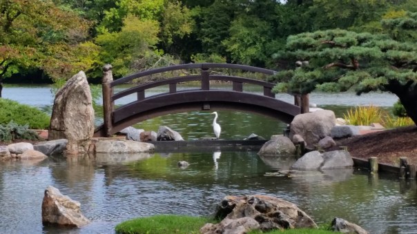 The perfect spot! And photo!