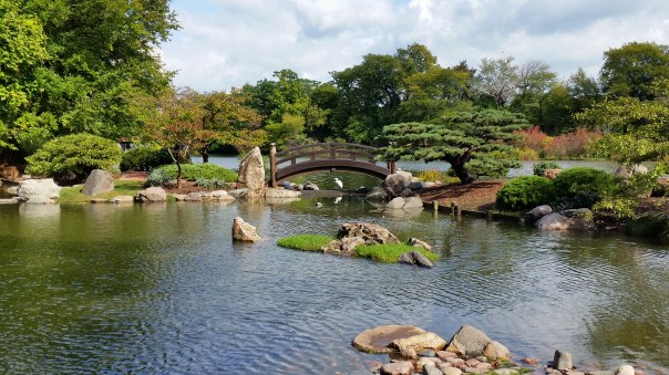 Look under the bridge