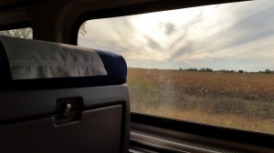 Perspective from my window on the train