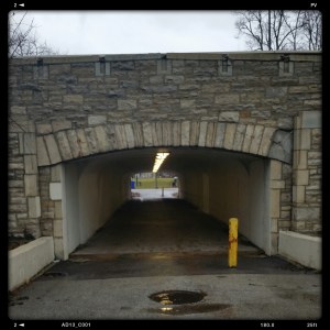 Christmas Eve morning walk - 2014